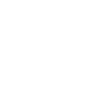 security shield